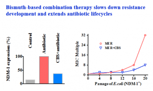 in mice model NDM-1expression decreased by  2.7-fold and resistance development slowed down by 4-fold